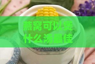 燕窝可以煲什么汤更佳营养搭配与口感选择