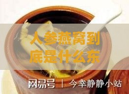 人参燕窝到底是什么东西