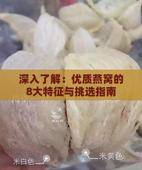 深入了解：优质燕窝的8大特征与挑选指南