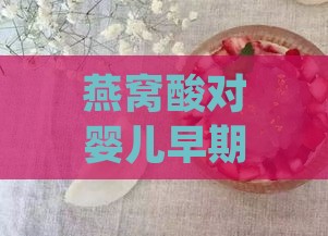 燕窝酸对婴儿早期发育的益处与食用指南