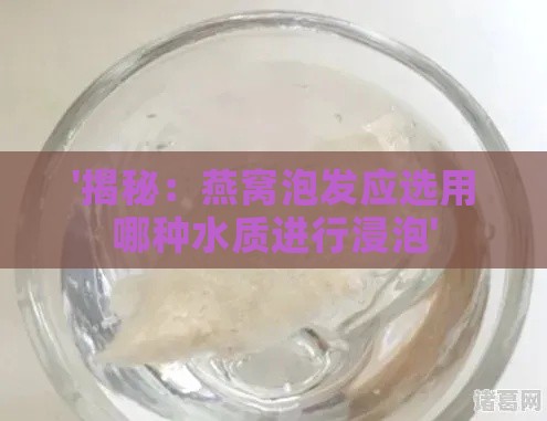 '揭秘：燕窝泡发应选用哪种水质进行浸泡'