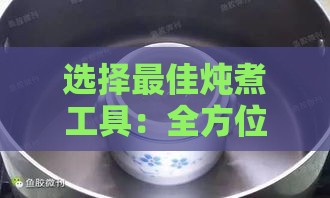 选择更佳炖煮工具：全方位解析不同类型炖锅对燕窝营养与口感的完美影响