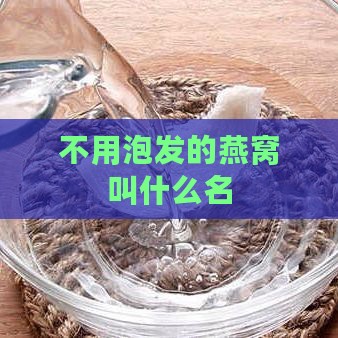 不用泡发的燕窝叫什么名