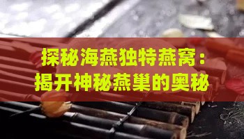 探秘海燕独特燕窝：揭开神秘燕巢的奥秘