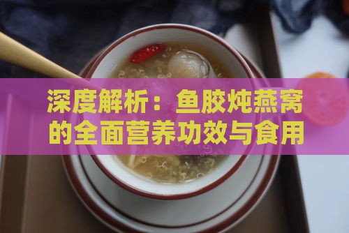 深度解析：鱼胶炖燕窝的全面营养功效与食用指南