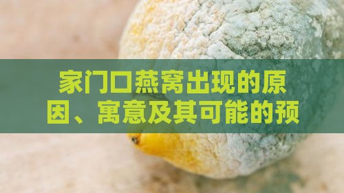 家门口燕窝出现的原因、寓意及其可能的预兆解读