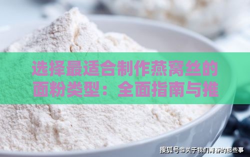 选择最适合制作燕窝丝的面粉类型：全面指南与推荐