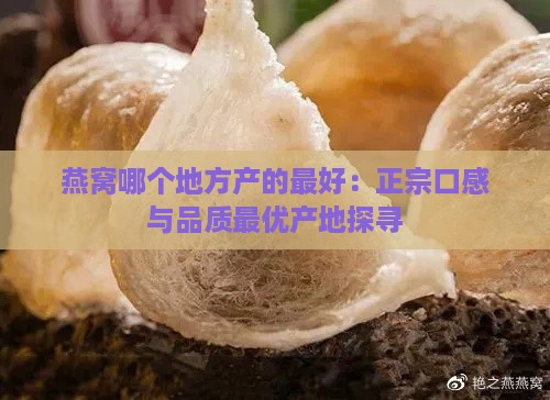 燕窝哪个地方产的更好：正宗口感与品质更优产地探寻