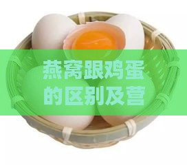 燕窝跟鸡蛋的区别及营养价值比较