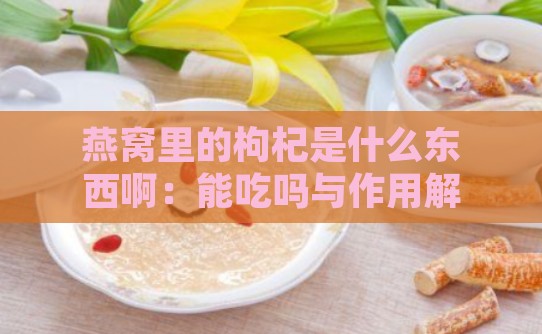 燕窝里的枸杞是什么东西啊：能吃吗与作用解析