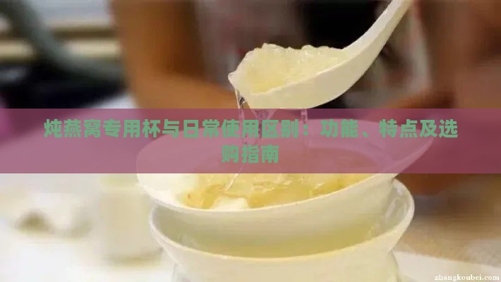 炖燕窝专用杯与日常使用区别：功能、特点及选购指南