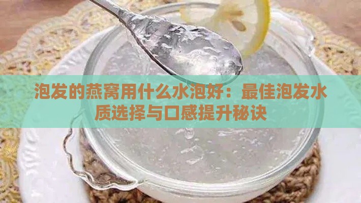 泡发的燕窝用什么水泡好：更佳泡发水质选择与口感提升秘诀