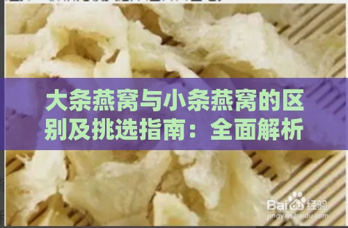 大条燕窝与小条燕窝的区别及挑选指南：全面解析燕窝品质与功效