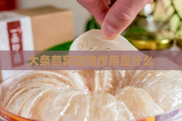 大条燕窝功效作用是什么