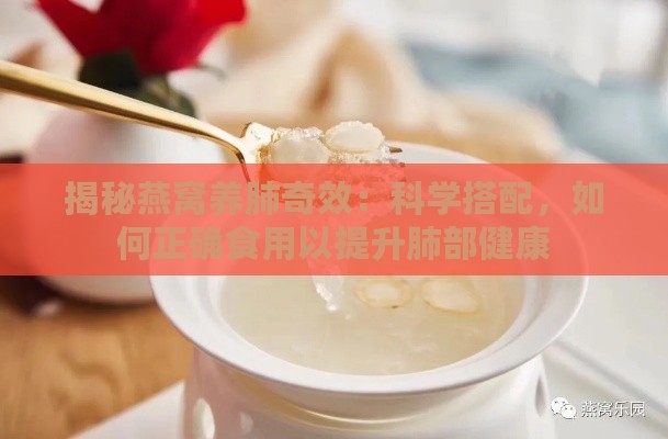 揭秘燕窝养肺奇效：科学搭配，如何正确食用以提升肺部健康