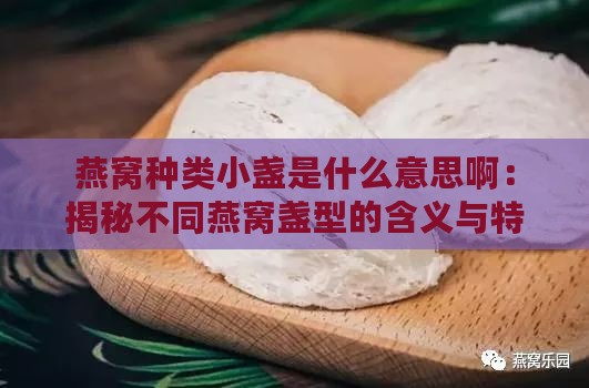 燕窝种类小盏是什么意思啊：揭秘不同燕窝盏型的含义与特点