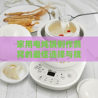 家用电炖锅制作燕窝的更佳选择与技巧