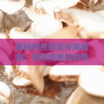 揭秘炖煮燕窝专用器具：燕窝炖煮锅的特点与选择