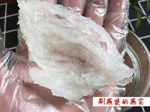 揭秘燕窝泡发率：不同类型燕窝的泡发率对比与选择指南