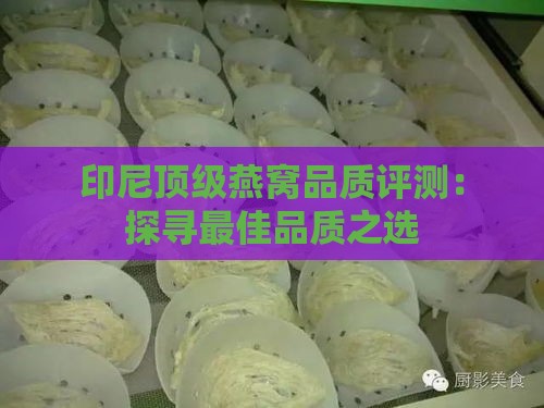 印尼顶级燕窝品质评测：探寻更佳品质之选