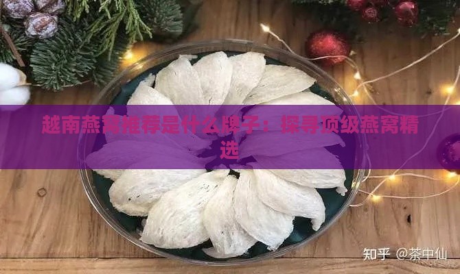 越南燕窝推荐是什么牌子：探寻顶级燕窝精选