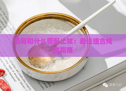 燕窝和什么搭配止咳：更佳组合炖煮指南