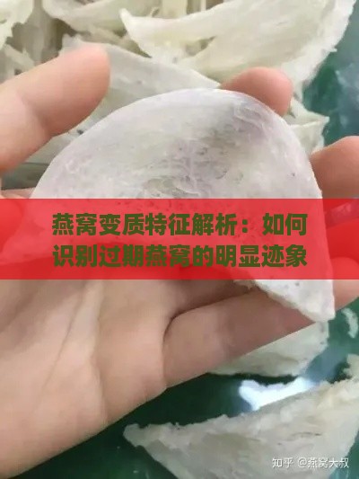 燕窝变质特征解析：如何识别过期燕窝的明显迹象