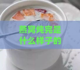 燕窝炖完是什么样子的，炖好后口感与味道如何