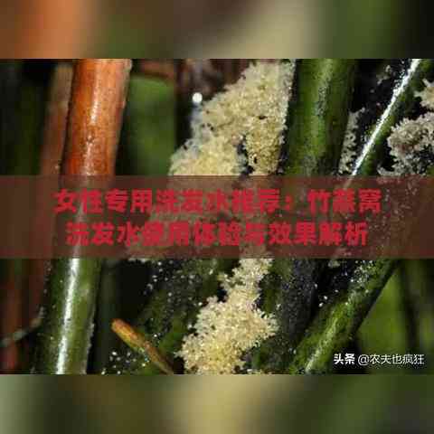 女性专用洗发水推荐：竹燕窝洗发水使用体验与效果解析