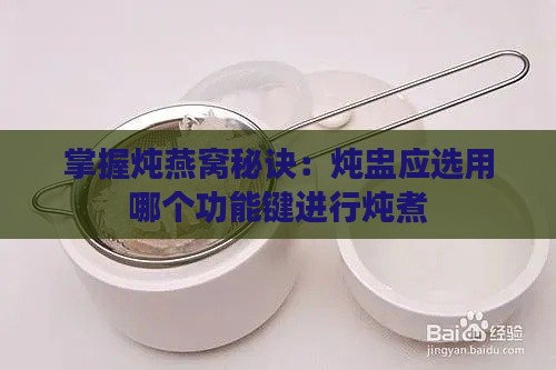 掌握炖燕窝秘诀：炖盅应选用哪个功能键进行炖煮