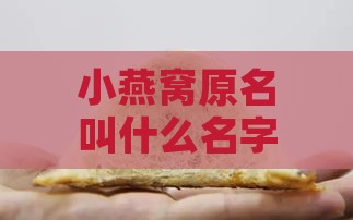 小燕窝原名叫什么名字来着？这个名字到底叫什么？