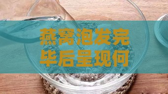 燕窝泡发完毕后呈现何种状态与质地