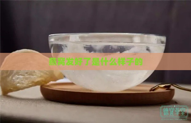 燕窝发好了是什么样子的