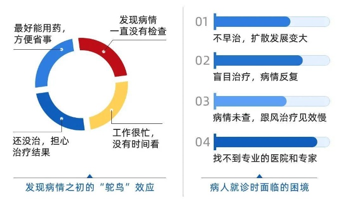 杭州燕窝姐姐健康状况更新：探析其生病原因及最新治疗进展