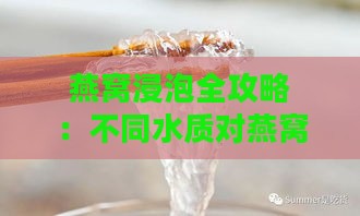 燕窝浸泡全攻略：不同水质对燕窝泡发效果的影响与选择建议