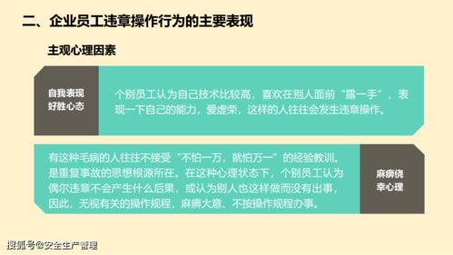 家门口发现燕窝：利弊分析及应对策略全解析