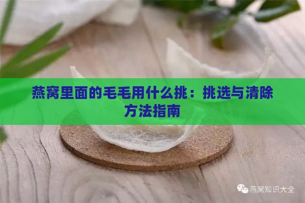 燕窝里面的毛毛用什么挑：挑选与清除方法指南