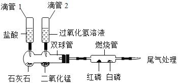 燕窝加热器的创新功能与作用解析：提升燕窝营养吸收新科技