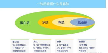 双参燕窝肽成分表是什么：详析其完整成分构成与功效特点