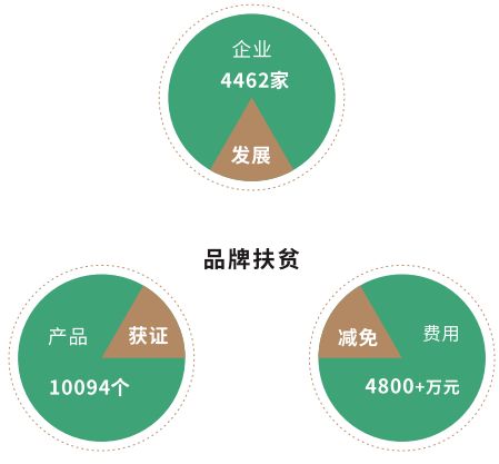 揭秘燕窝绿色点的成因、影响与处理方法：全面解析燕窝质量问题及解决方案