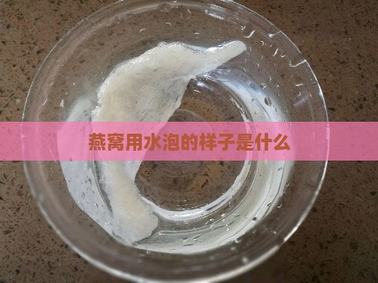 燕窝用水泡的样子是什么