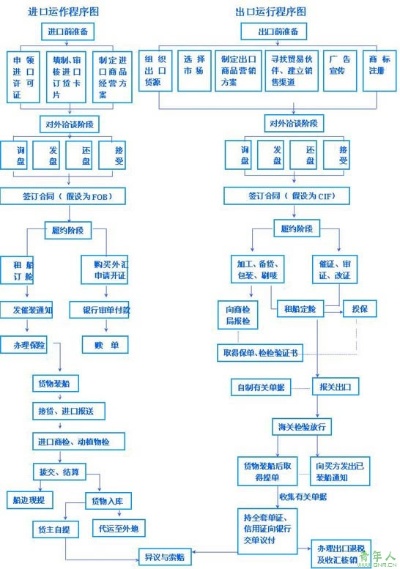 燕窝出口至：全面解析合规手续与通关流程