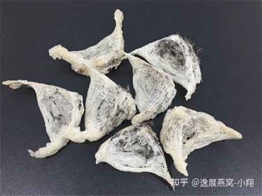 燕窝小龙牙盏可以吗：即食燕窝与龙牙盏、大盏、三角盏的区别解析