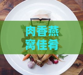 肉香燕窝佳肴：创意美食燕肉轩辕的美味命名