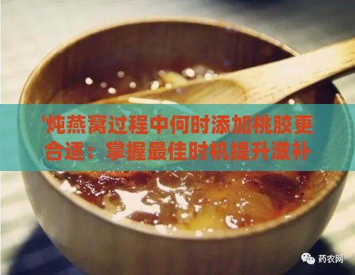 '炖燕窝过程中何时添加桃胶更合适：掌握更佳时机提升滋补效果'