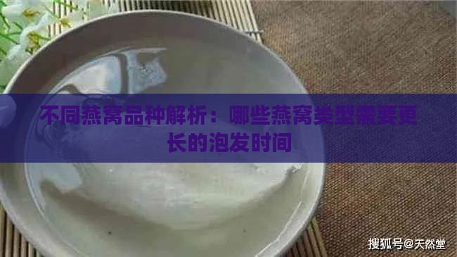 不同燕窝品种解析：哪些燕窝类型需要更长的泡发时间