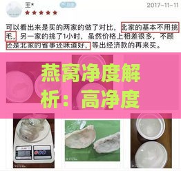 燕窝净度解析：高净度燕窝如何确保品质与安全