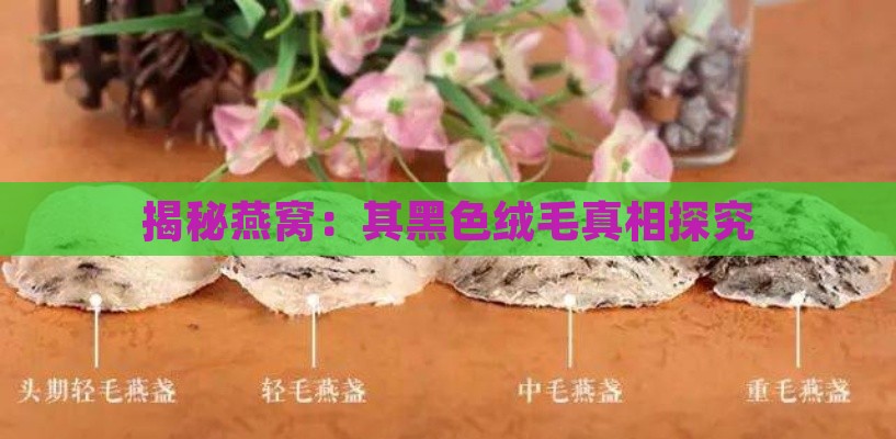 揭秘燕窝：其黑色绒毛真相探究