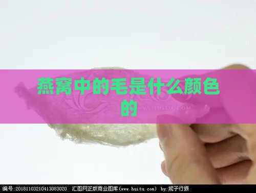 燕窝中的毛是什么颜色的