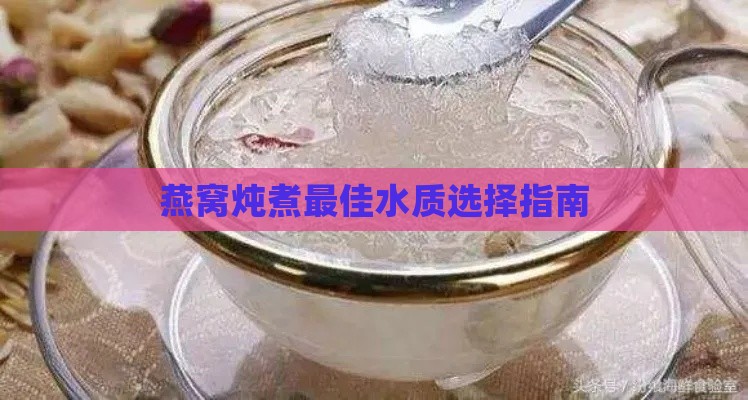 燕窝炖煮更佳水质选择指南